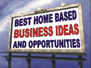 ds-domination-home-business-idea